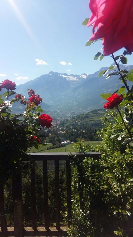 Appartamento Schwarzplatterhof Merano Esterno foto